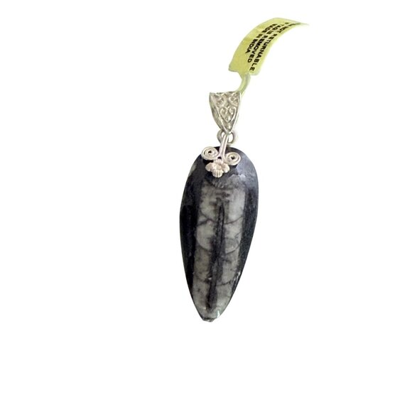 Fossilized Orthoceras Pendant With Intricate Silver Bail Handcrafted - Picture 1 of 5